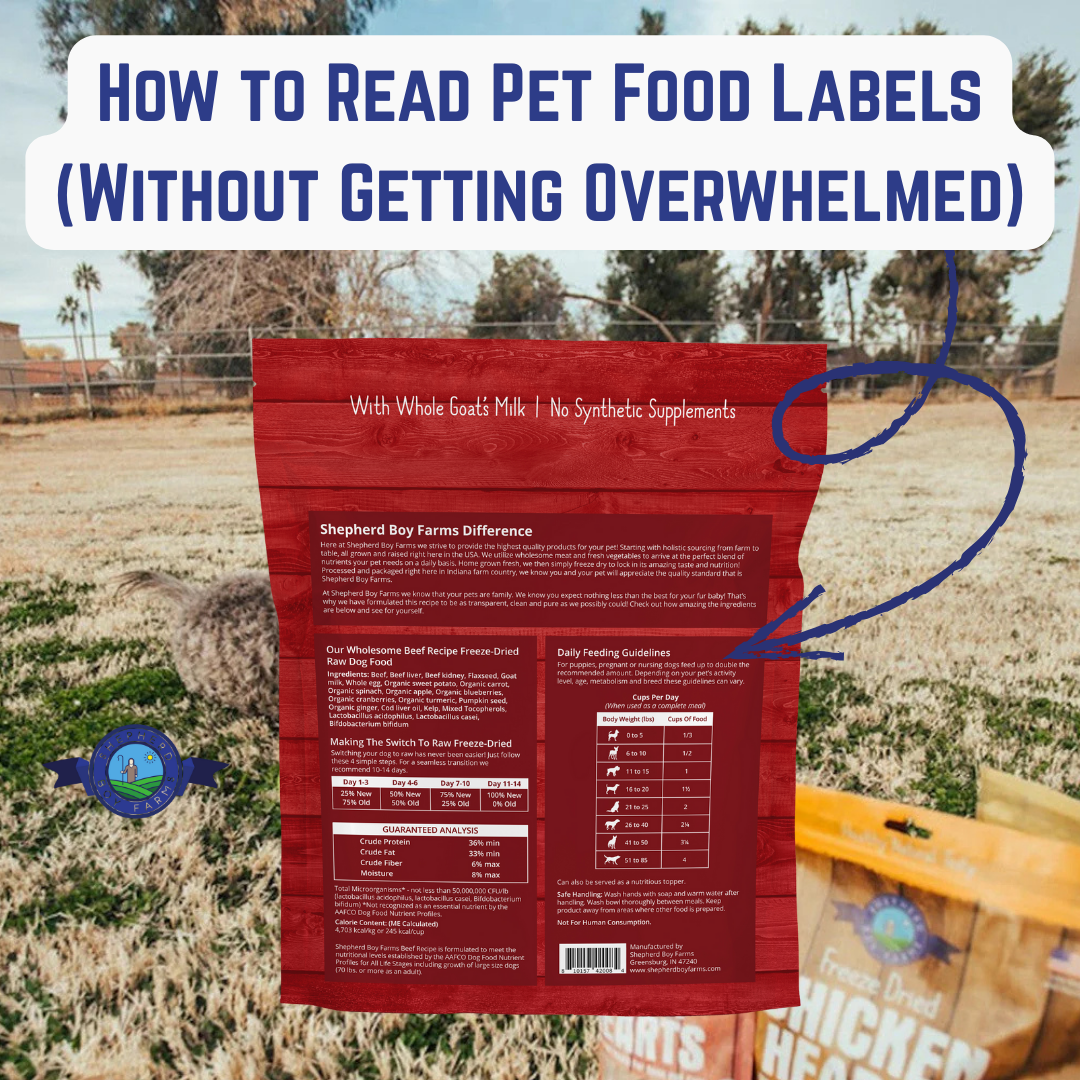 How to Read Pet Food Labels (Without Getting Overwhelmed)