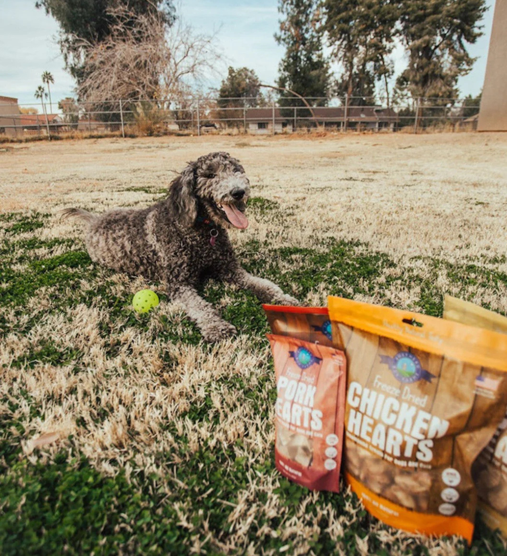 Why Freeze-Dried Means Fresher: The Shepherd Boy Farms Difference