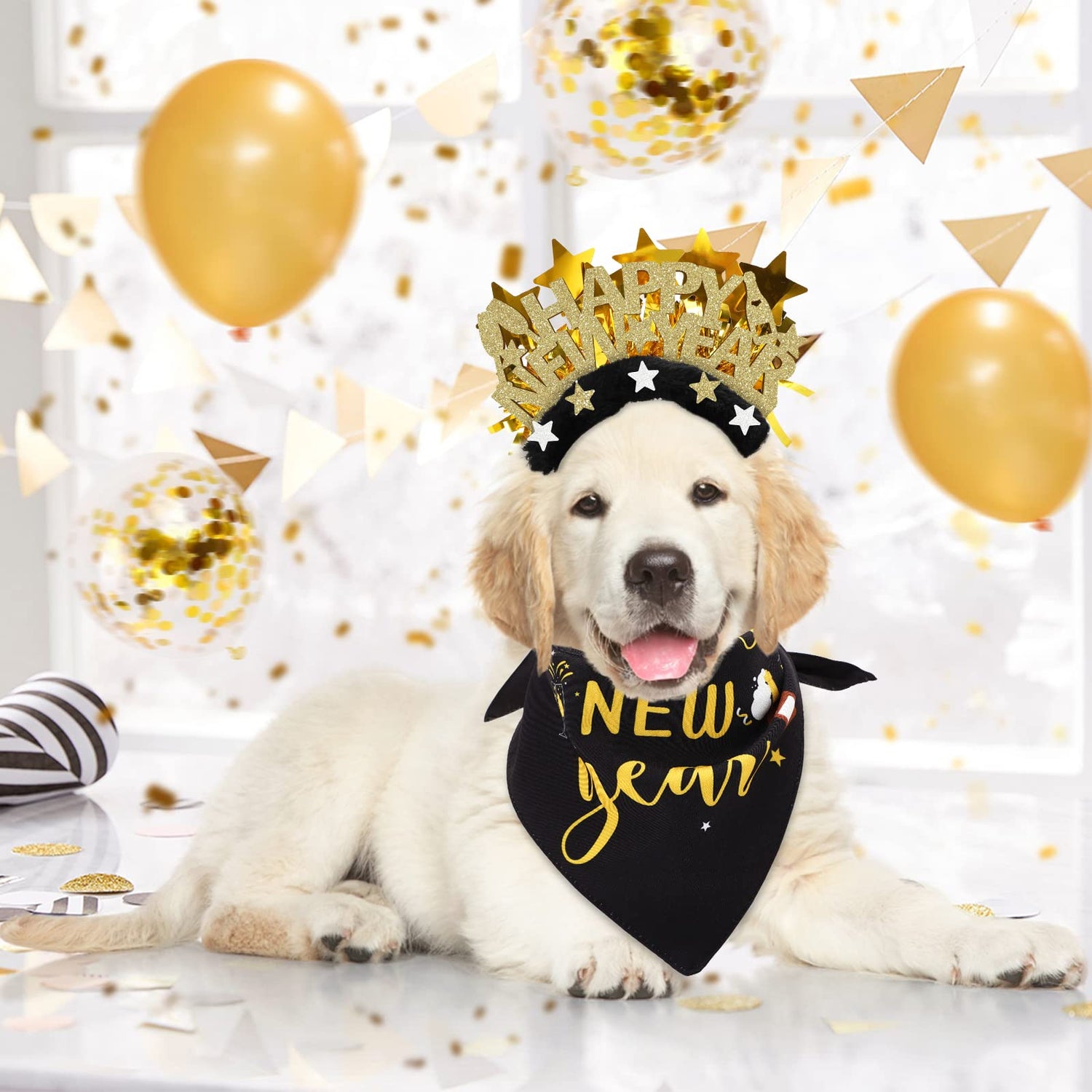 New Year, Healthier Habits for You and Your Pet