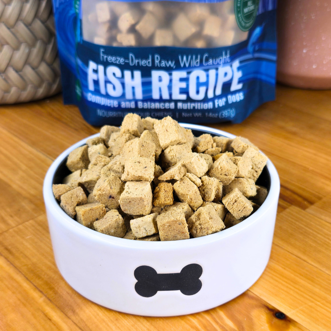 Fish Medley