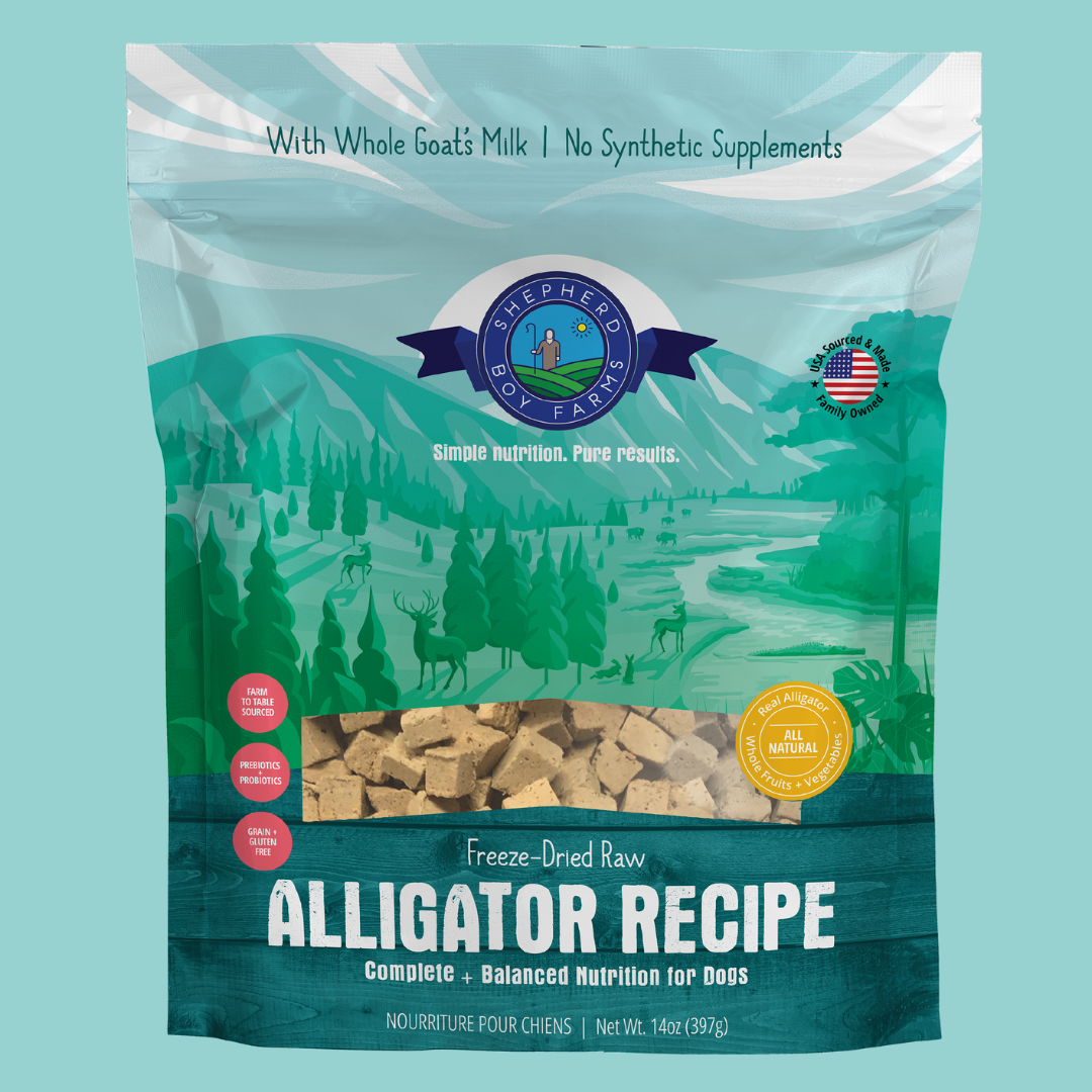 Alligator Recipe