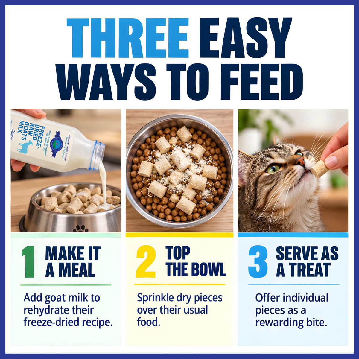 Fish Recipe for Cats