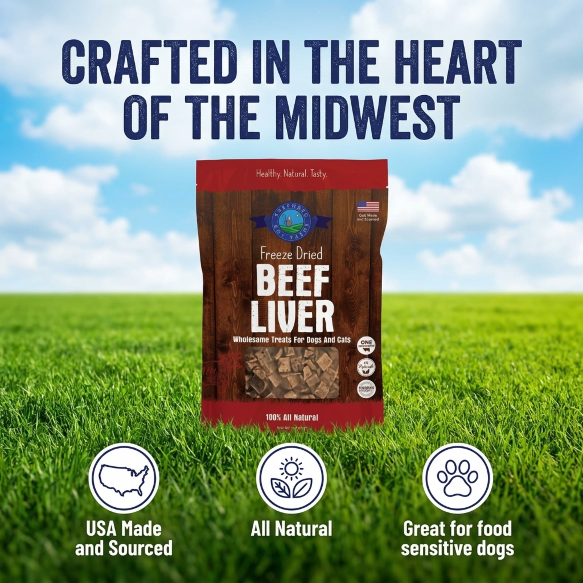 Bag of freeze-dried beef liver treats for pets on grass with a blue sky background