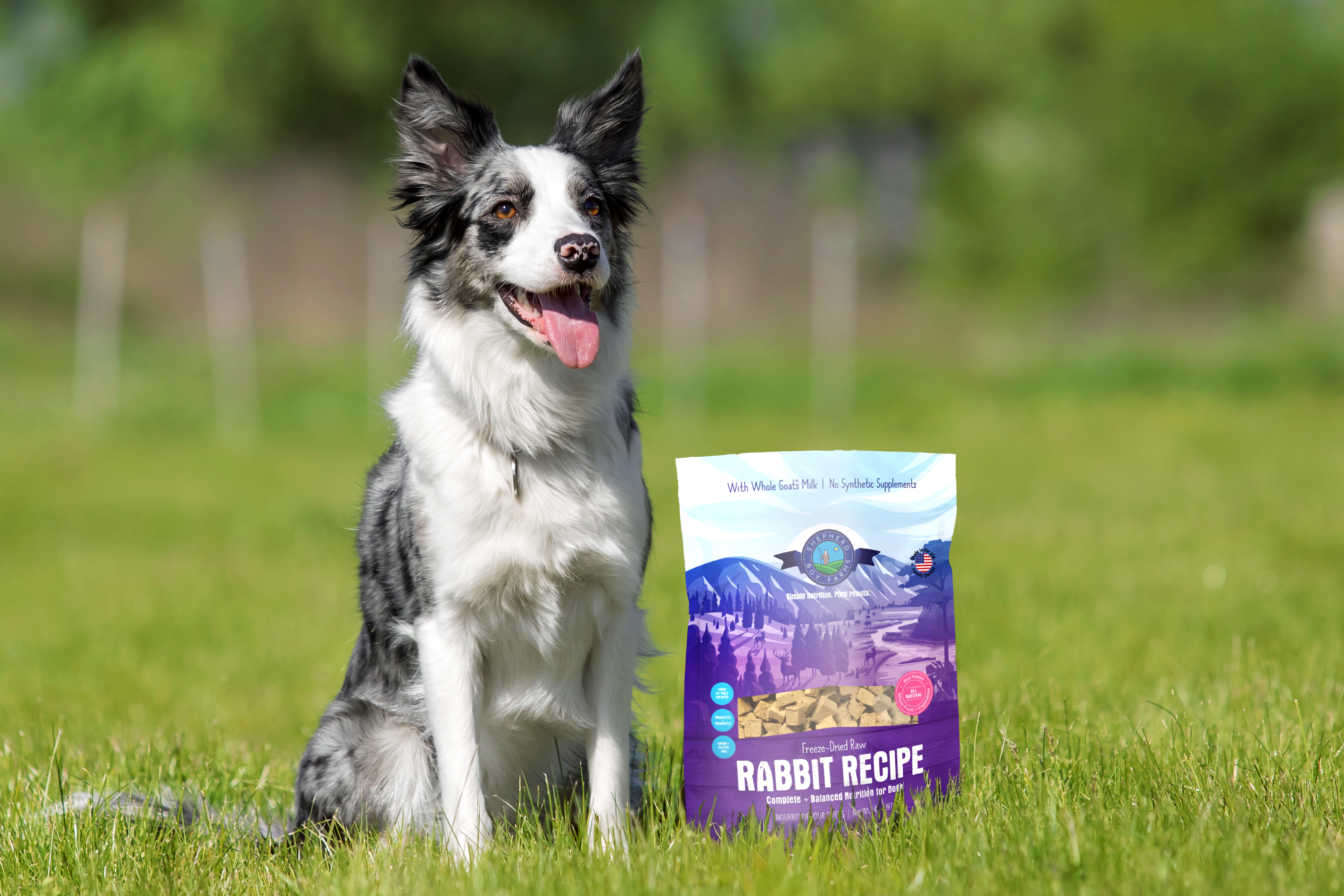 Dog sitting on grass next to a bag of Rabbit Recipe dog food