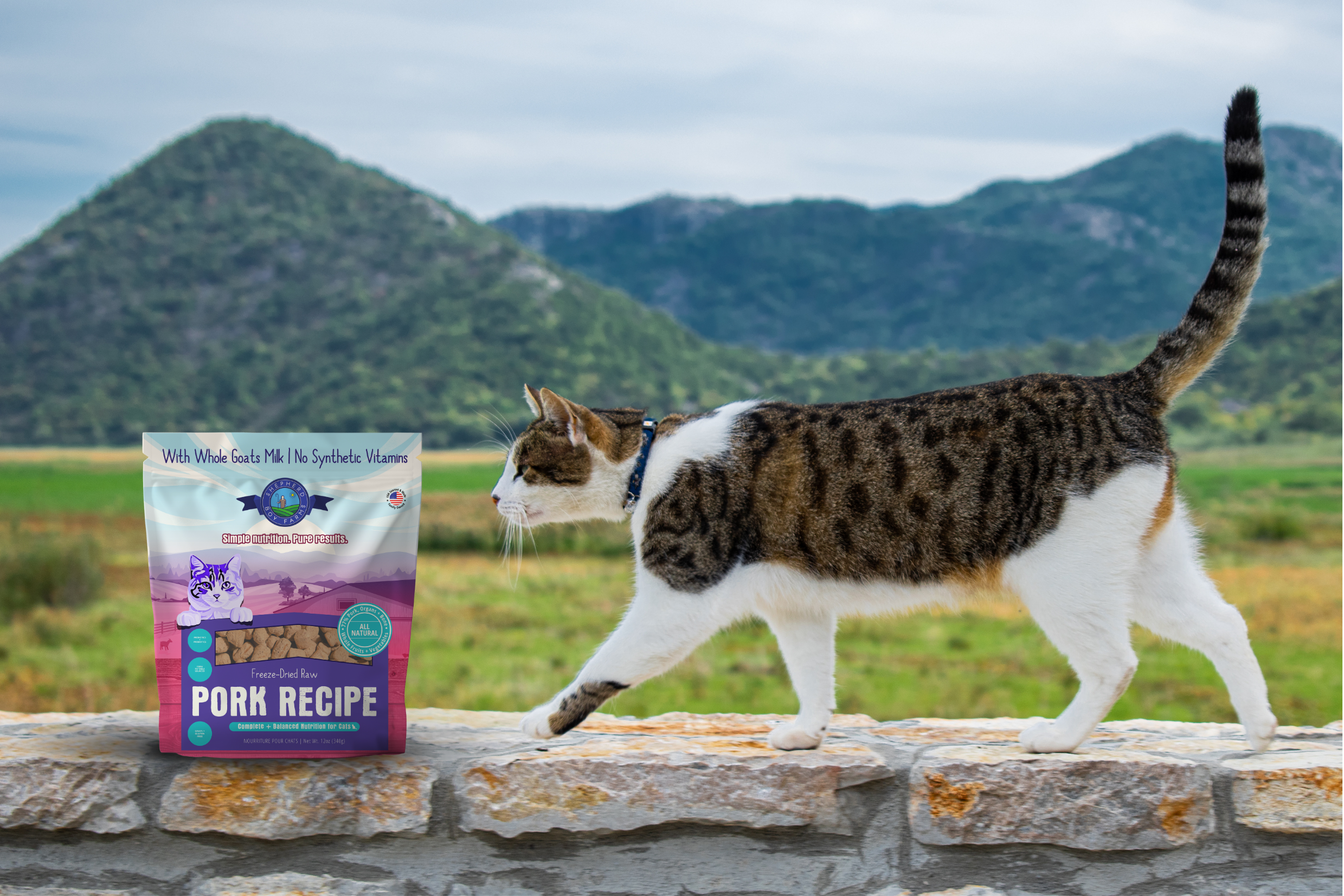Cat standing on a stone ledge with a bag of Shepherd Boy Farms Pork Recipe cat food in front of a scenic mountain landscape.