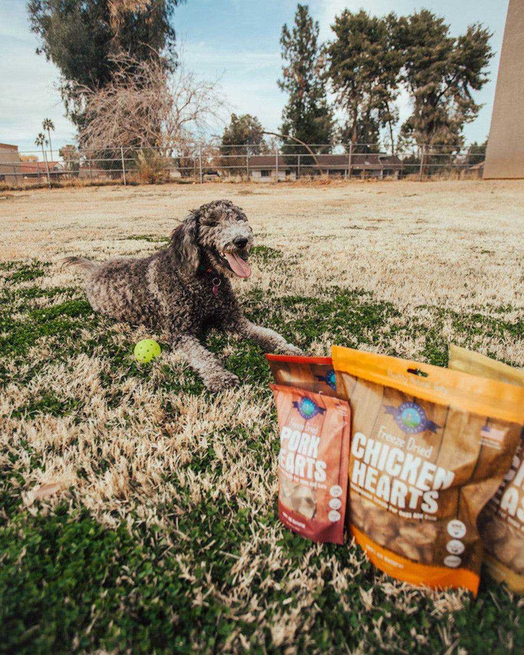 Why Freeze-Dried Means Fresher: The Shepherd Boy Farms Difference