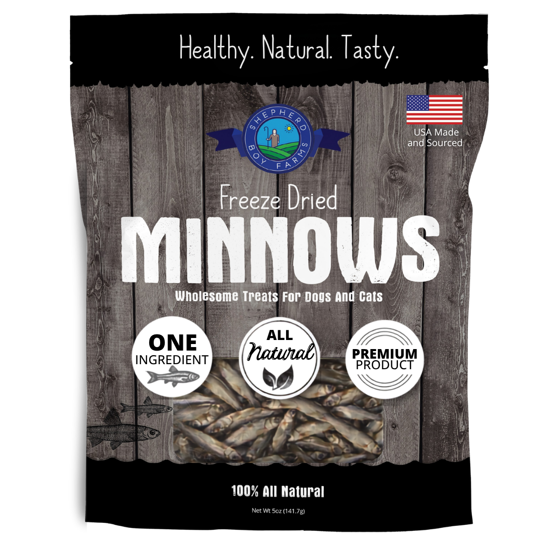Minnows