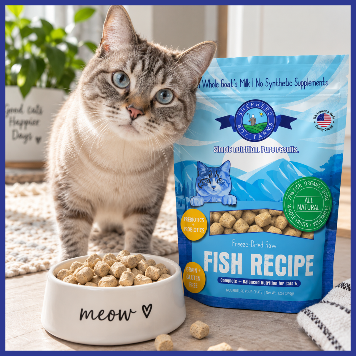 Fish Recipe for Cats