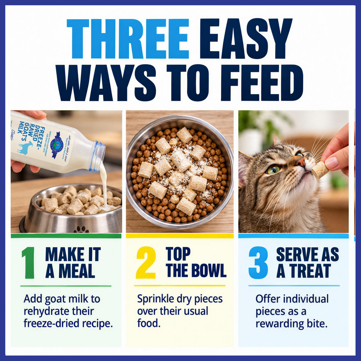 Beef Recipe for Cats
