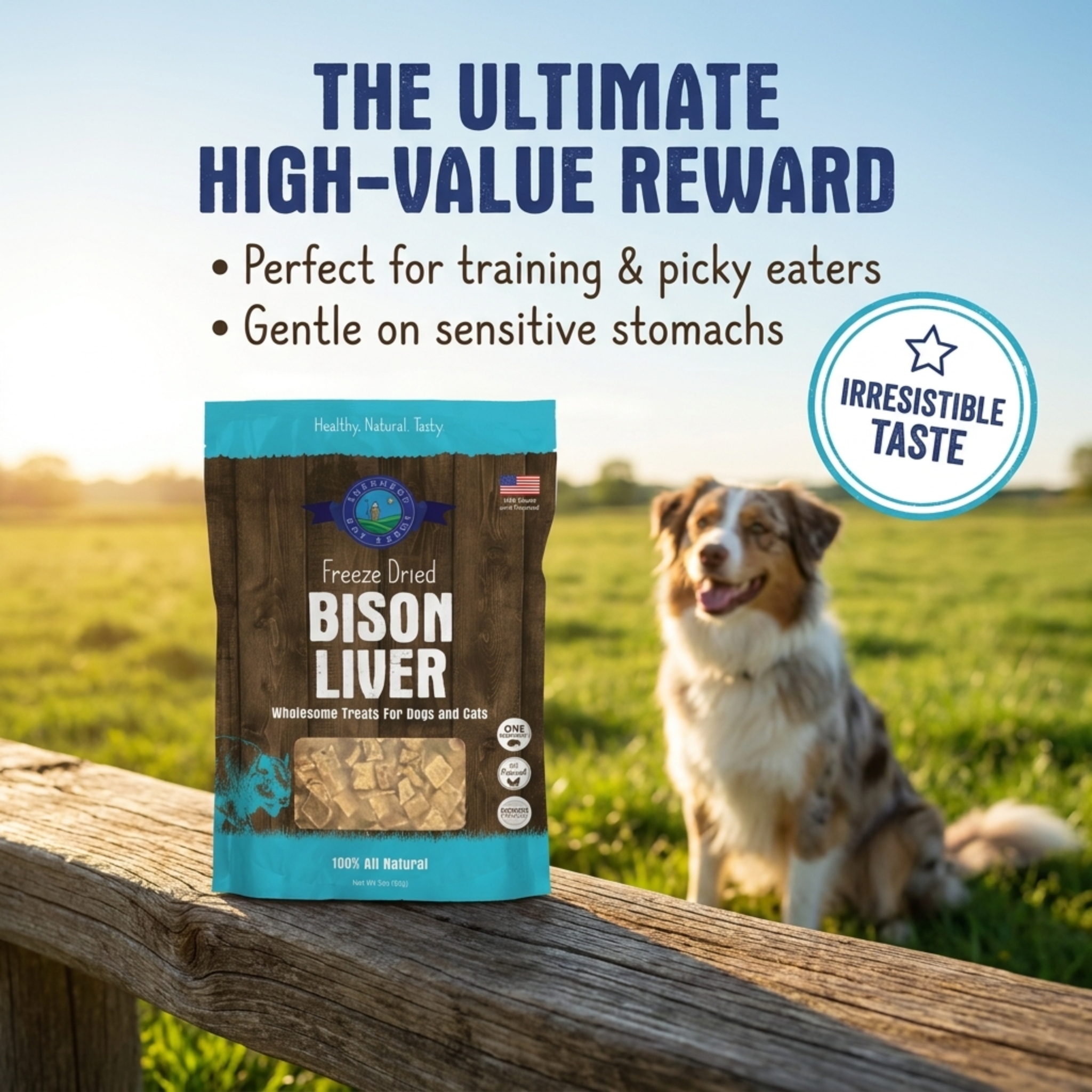 Bag of freeze-dried bison liver treats for pets with a dog in the background on a wooden railing.