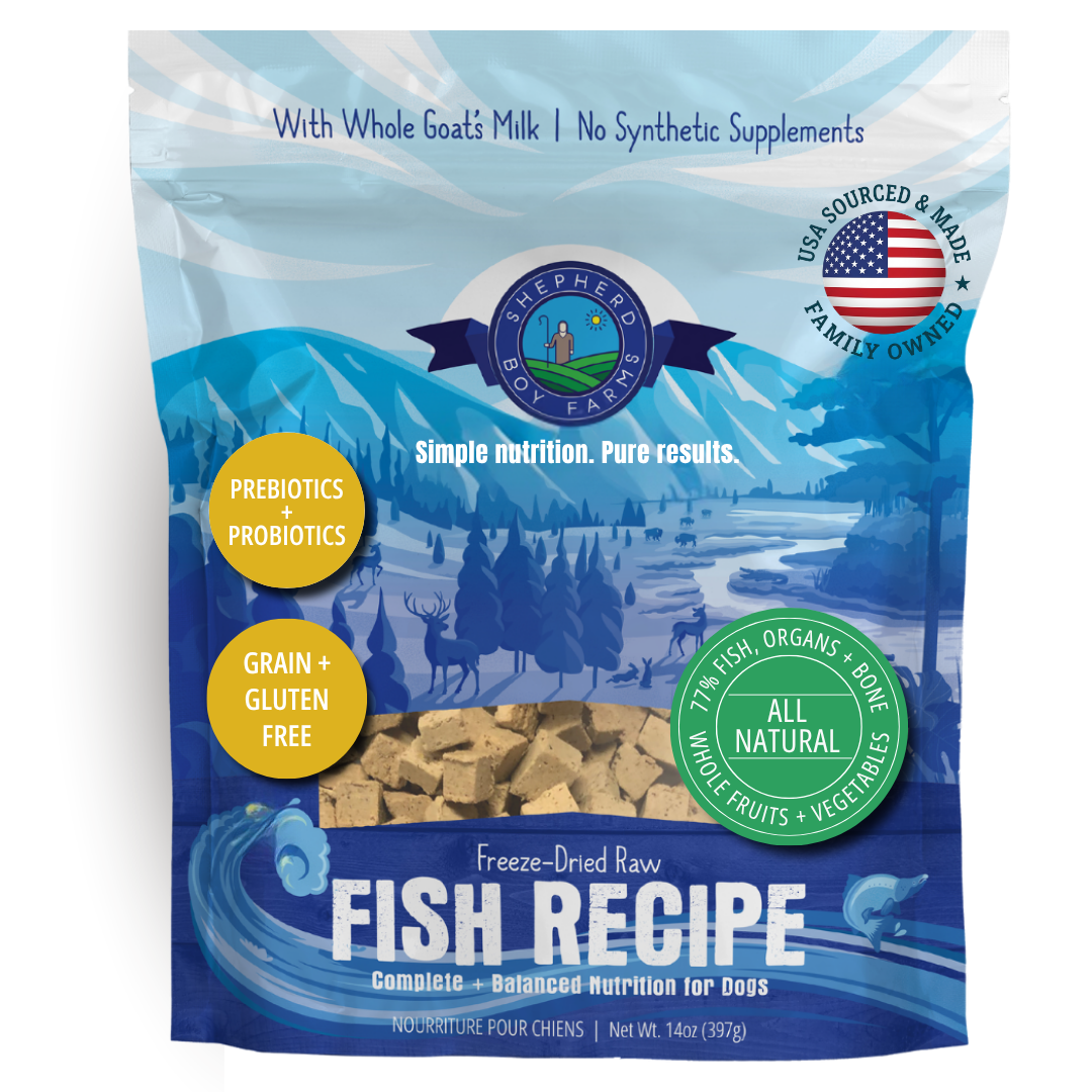 Fish Recipe
