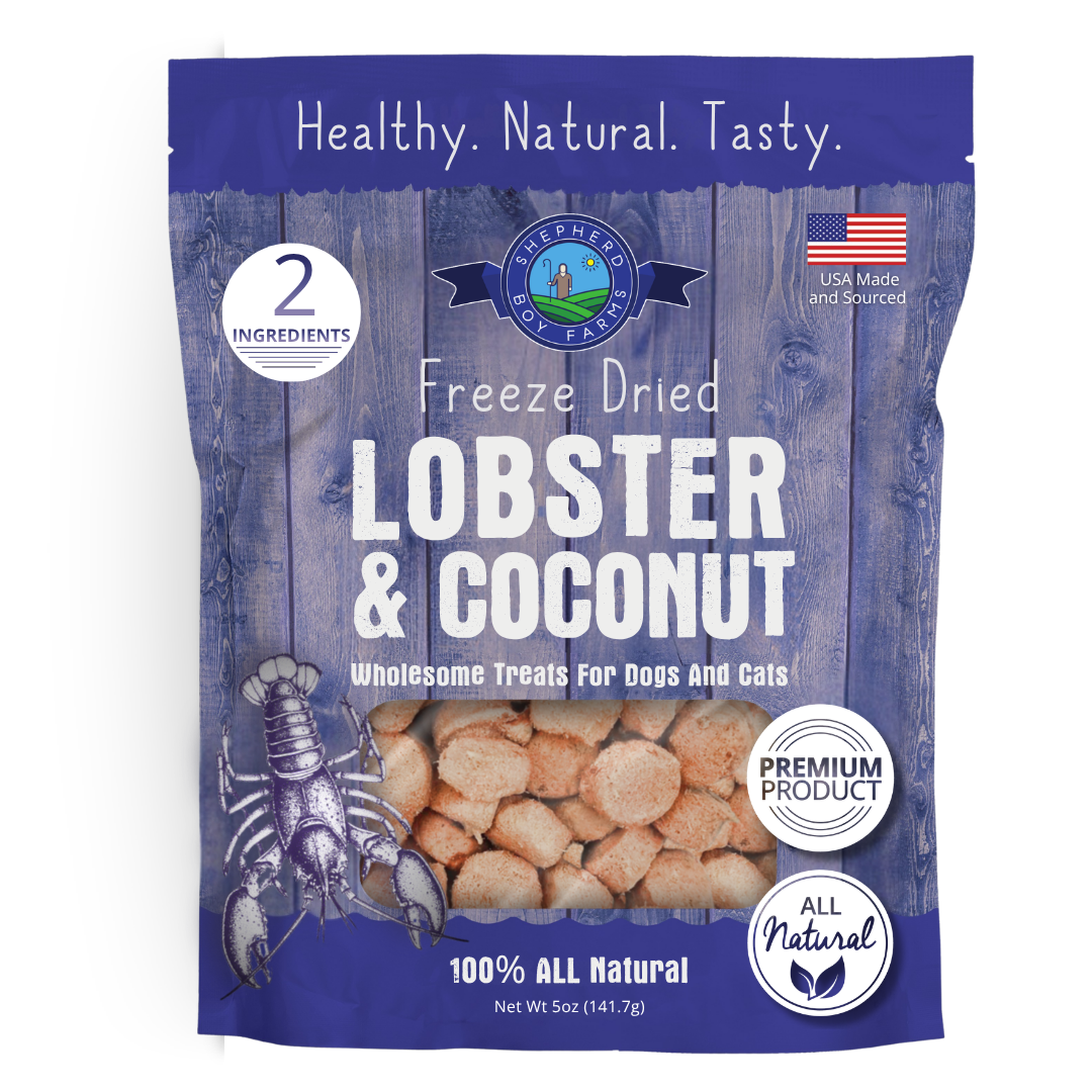 Lobster & Coconut