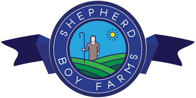 SBF Logo