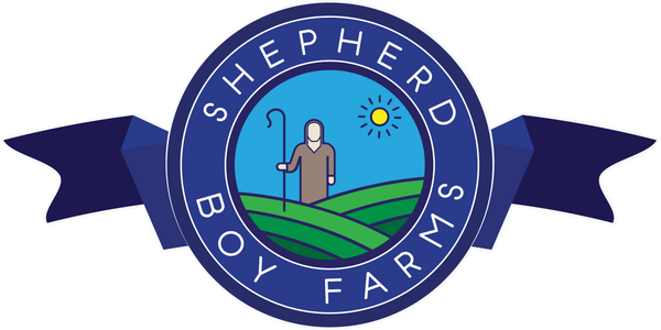 Primary logo on light bg