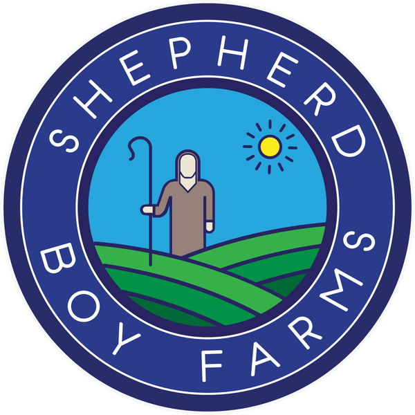 Secondary logo on light bg